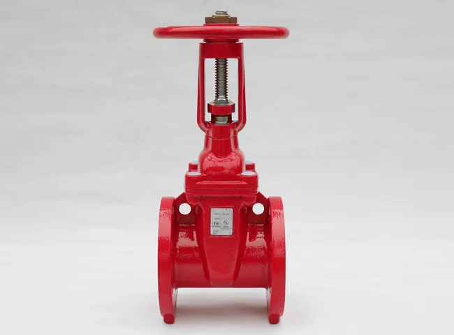 Flanged OS&Y Gate Valve