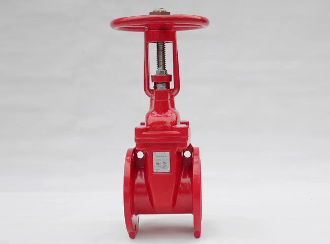 Flanged OS&Y Gate Valve (EN1171)