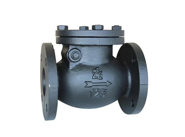 ASTM Swing Check Valve