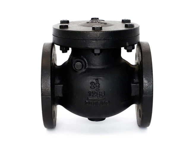 ANSI Check Valve