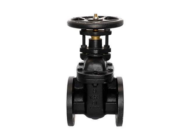 ANSI Gate Valve